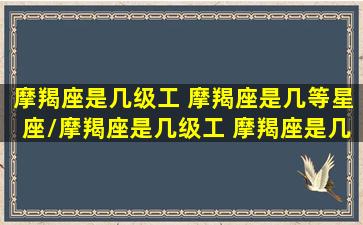 摩羯座是几级工 摩羯座是几等星座/摩羯座是几级工 摩羯座是几等星座-我的网站